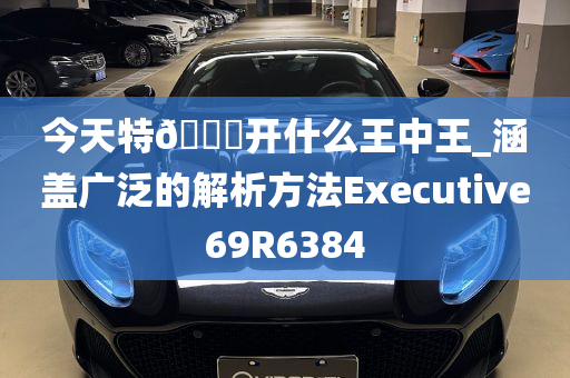 今天特🐎开什么王中王_涵盖广泛的解析方法Executive69R6384