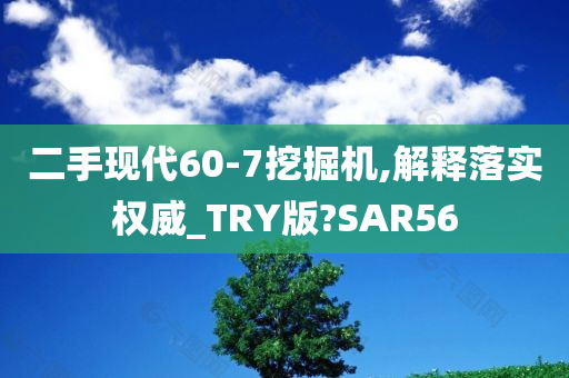 二手现代60-7挖掘机,解释落实权威_TRY版?SAR56