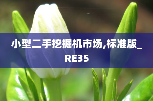 小型二手挖掘机市场,标准版_RE35