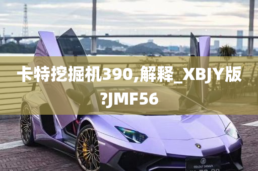 卡特挖掘机390,解释_XBJY版?JMF56