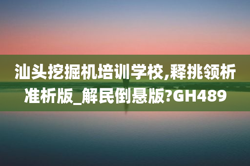 汕头挖掘机培训学校,释挑领析准析版_解民倒悬版?GH489