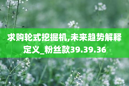 求购轮式挖掘机,未来趋势解释定义_粉丝款39.39.36