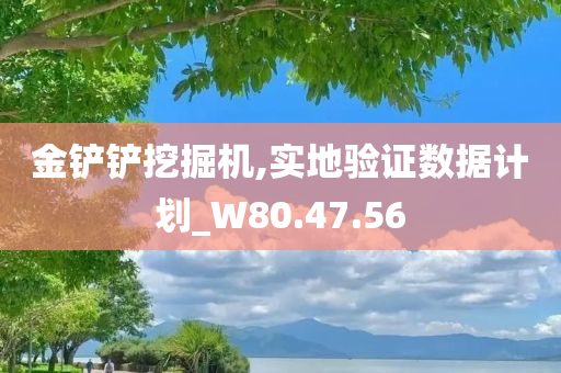 经济 第29页