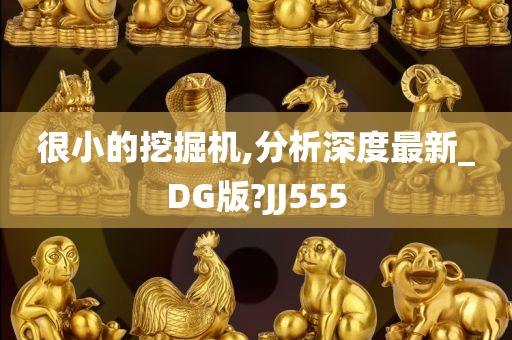 很小的挖掘机,分析深度最新_DG版?JJ555