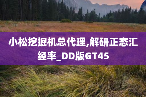 小松挖掘机总代理,解研正态汇经率_DD版GT45