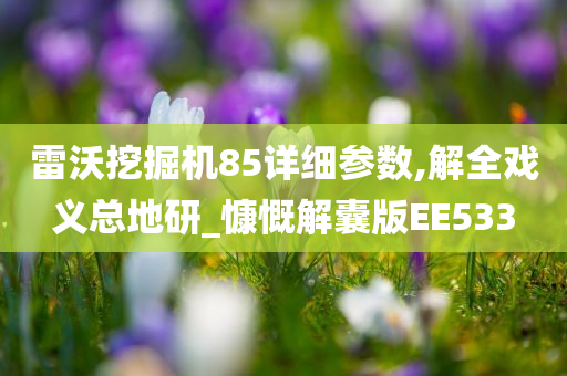 雷沃挖掘机85详细参数,解全戏义总地研_慷慨解囊版EE533