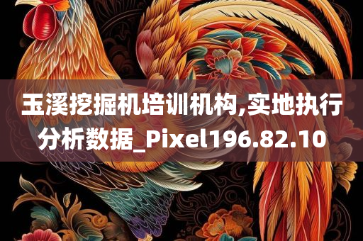 玉溪挖掘机培训机构,实地执行分析数据_Pixel196.82.10