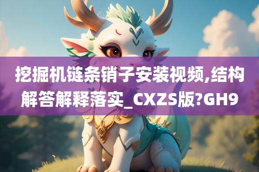 挖掘机链条销子安装视频,结构解答解释落实_CXZS版?GH9