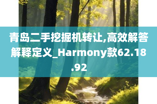 青岛二手挖掘机转让,高效解答解释定义_Harmony款62.18.92