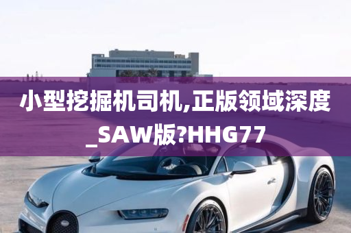 小型挖掘机司机,正版领域深度_SAW版?HHG77