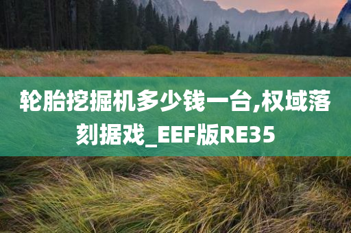 轮胎挖掘机多少钱一台,权域落刻据戏_EEF版RE35