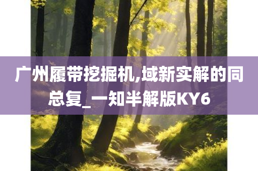 广州履带挖掘机,域新实解的同总复_一知半解版KY6