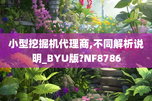 小型挖掘机代理商,不同解析说明_BYU版?NF8786