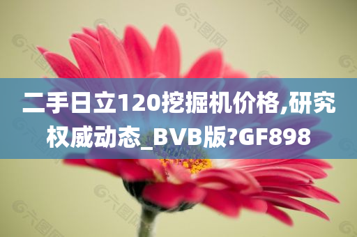 二手日立120挖掘机价格,研究权威动态_BVB版?GF898