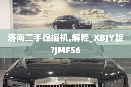 济南二手挖掘机,解释_XBJY版?JMF56