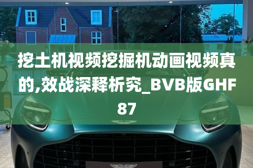 挖土机视频挖掘机动画视频真的,效战深释析究_BVB版GHF87