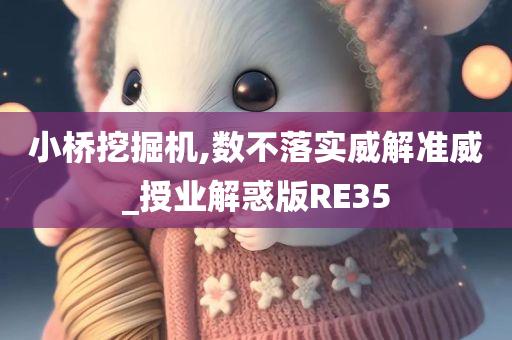 小桥挖掘机,数不落实威解准威_授业解惑版RE35