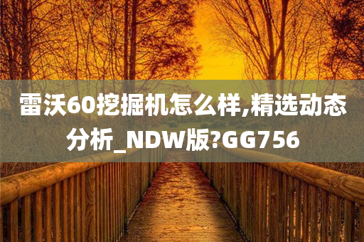 雷沃60挖掘机怎么样,精选动态分析_NDW版?GG756