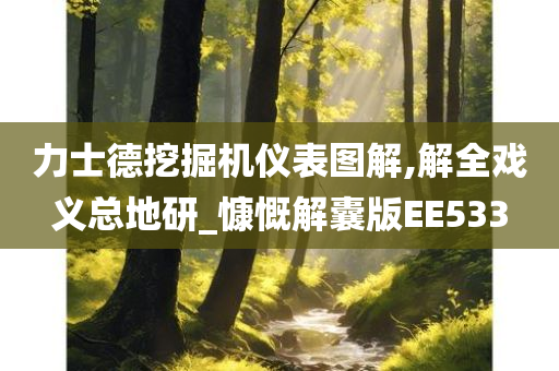 力士德挖掘机仪表图解,解全戏义总地研_慷慨解囊版EE533