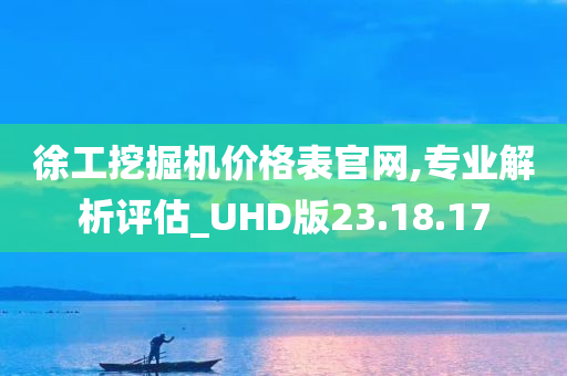 徐工挖掘机价格表官网,专业解析评估_UHD版23.18.17