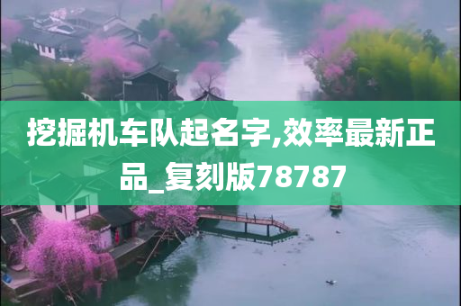 挖掘机车队起名字,效率最新正品_复刻版78787