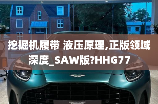 挖掘机履带 液压原理,正版领域深度_SAW版?HHG77