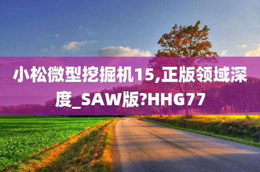 小松微型挖掘机15,正版领域深度_SAW版?HHG77