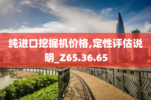 纯进口挖掘机价格,定性评估说明_Z65.36.65