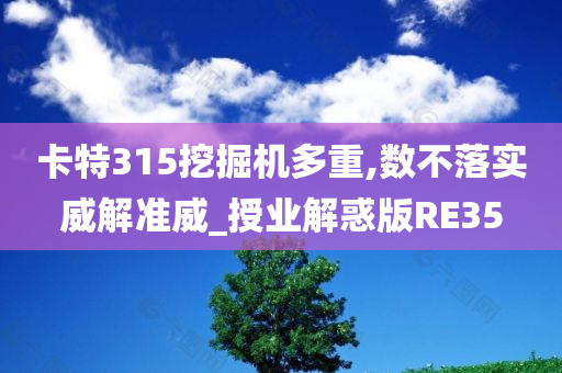 卡特315挖掘机多重,数不落实威解准威_授业解惑版RE35