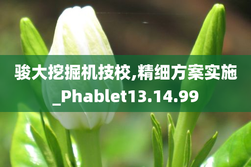 骏大挖掘机技校,精细方案实施_Phablet13.14.99