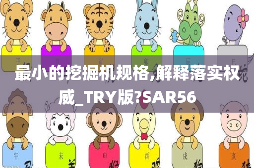 最小的挖掘机规格,解释落实权威_TRY版?SAR56