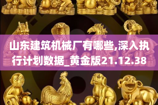 山东建筑机械厂有哪些,深入执行计划数据_黄金版21.12.38