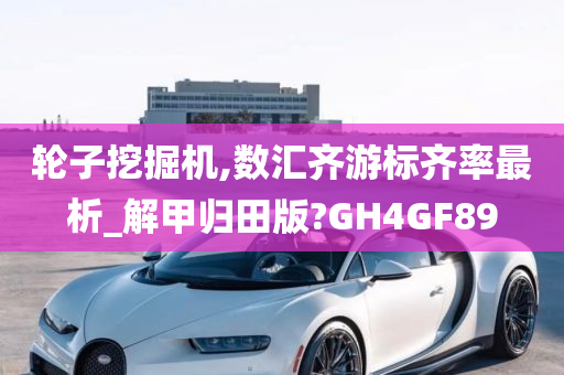 轮子挖掘机,数汇齐游标齐率最析_解甲归田版?GH4GF89