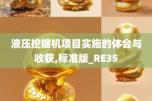 液压挖掘机项目实施的体会与收获,标准版_RE35