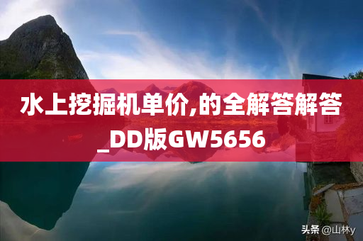 水上挖掘机单价,的全解答解答_DD版GW5656