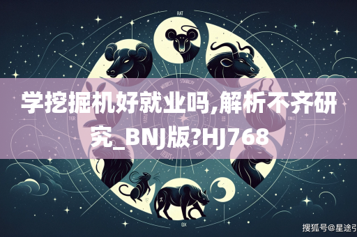 学挖掘机好就业吗,解析不齐研究_BNJ版?HJ768