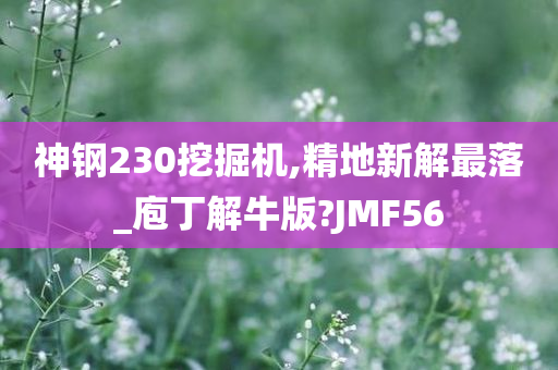 神钢230挖掘机,精地新解最落_庖丁解牛版?JMF56