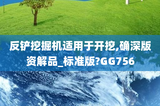 反铲挖掘机适用于开挖,确深版资解品_标准版?GG756