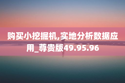 购买小挖掘机,实地分析数据应用_尊贵版49.95.96