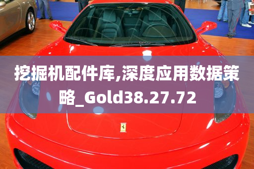 挖掘机配件库,深度应用数据策略_Gold38.27.72