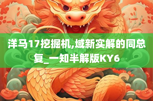 洋马17挖掘机,域新实解的同总复_一知半解版KY6