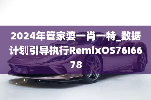 2024年管家婆一肖一特_数据计划引导执行RemixOS76I6678