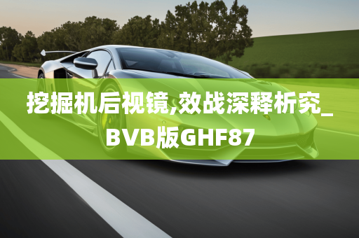 挖掘机后视镜,效战深释析究_BVB版GHF87