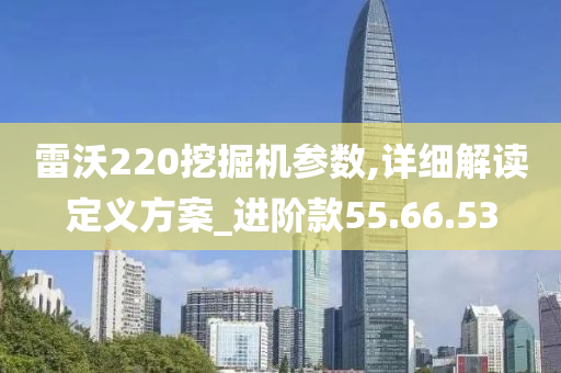 雷沃220挖掘机参数,详细解读定义方案_进阶款55.66.53