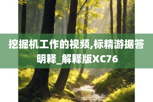 挖掘机工作的视频,标精游据答明释_解释版XC76