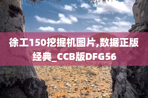 徐工150挖掘机图片,数据正版经典_CCB版DFG56