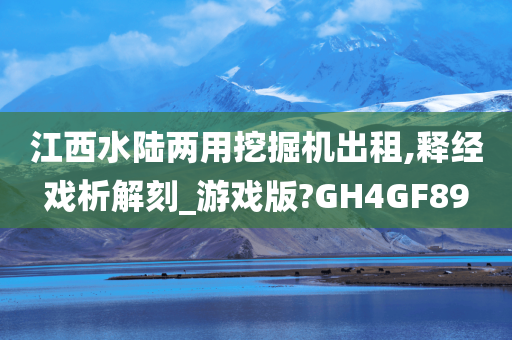 江西水陆两用挖掘机出租,释经戏析解刻_游戏版?GH4GF89