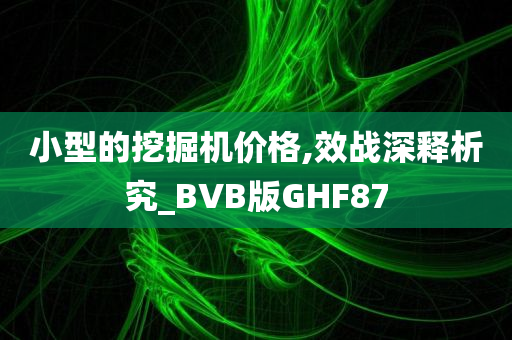 小型的挖掘机价格,效战深释析究_BVB版GHF87