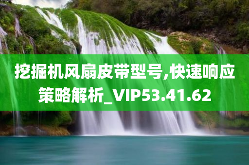 挖掘机风扇皮带型号,快速响应策略解析_VIP53.41.62