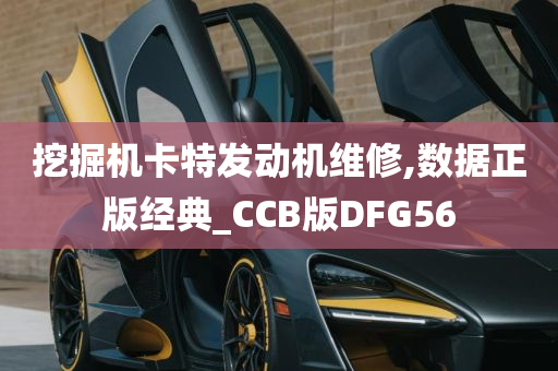 挖掘机卡特发动机维修,数据正版经典_CCB版DFG56